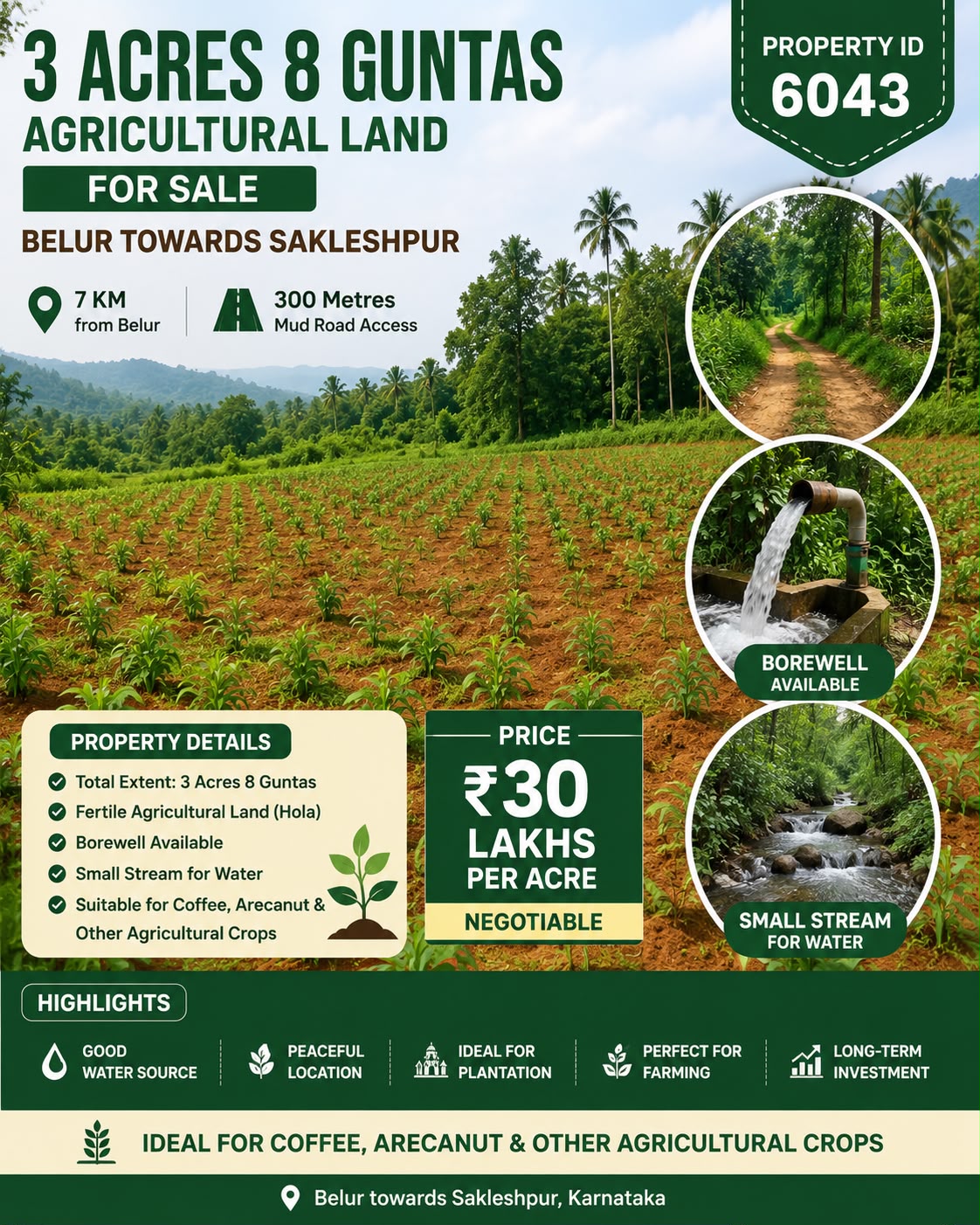 🆔 *PROPERTY ID – 6043* 🌾 *3 Acres 8 Guntas Agricultural Land for Sale – Belur towards Sakleshpur